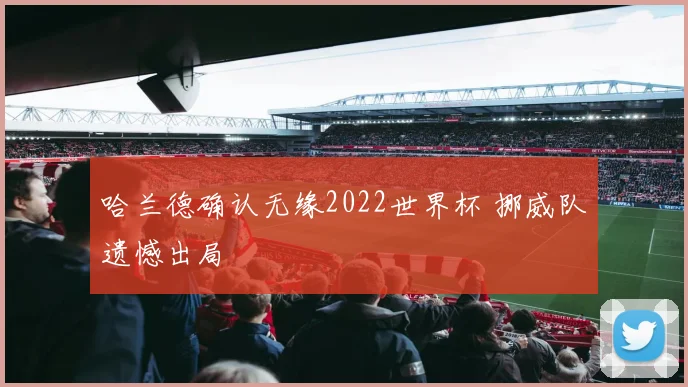 哈兰德确认无缘2022世界杯 挪威队遗憾出局