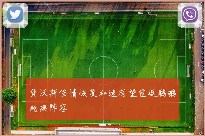 费沃斯伤情恢复加速有望重返鹈鹕轮换阵容