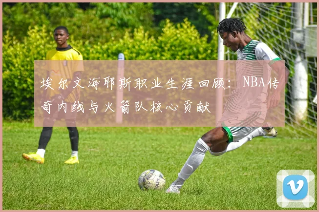 埃尔文海耶斯职业生涯回顾：NBA传奇内线与火箭队核心贡献