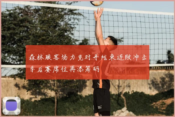 森林狼客场力克对手结束连败冲击季后赛席位再添筹码