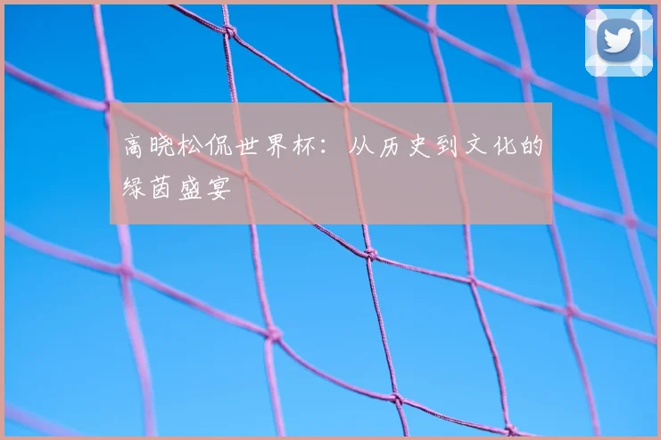 高晓松侃世界杯：从历史到文化的绿茵盛宴