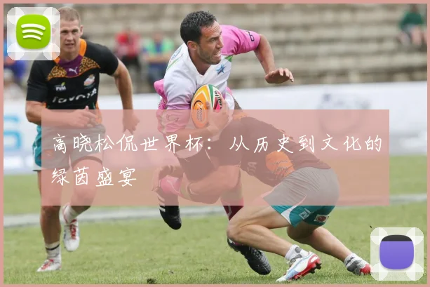 高晓松侃世界杯:从历史到文化的绿茵盛宴
