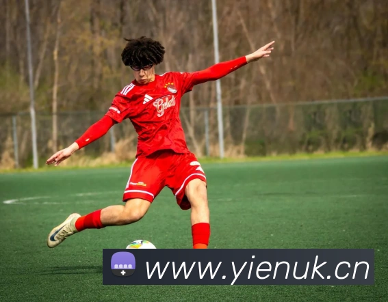 leyu乐鱼在线体育服务体系